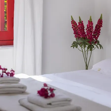 You Have Found The Perfect Holiday In Protaras, 1411 Villa Protaras